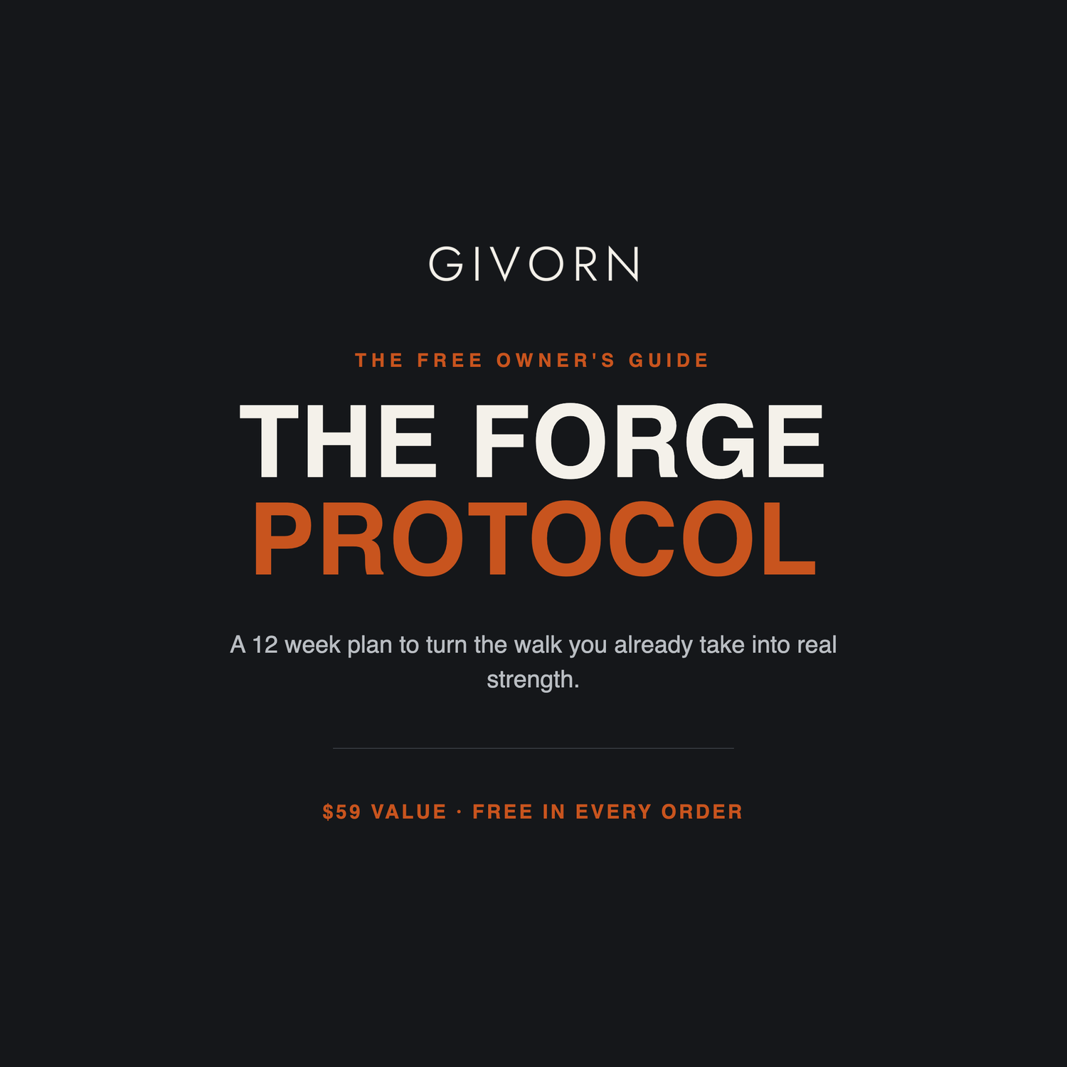 The Forge Protocol guide cover, 12 week plan