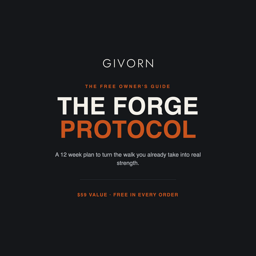 The Forge Protocol guide cover, 12 week plan